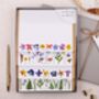 Pressed Flowers Writing Paper Gift Box Set, thumbnail 1 of 4