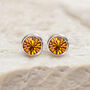 Sterling Silver November Citrine Birthstone Stud Earrings, thumbnail 6 of 9