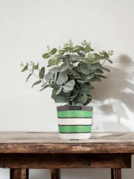 Eco Striped Recycled Plant Holder, 2 of 7