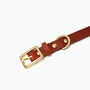 Tan Leather Dog Collar For Small And Large Dogs, thumbnail 2 of 3