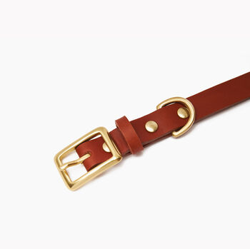 Tan Leather Dog Collar For Small And Large Dogs, 2 of 3