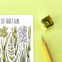 Grasses Of Britain Watercolour Postcard, thumbnail 6 of 8