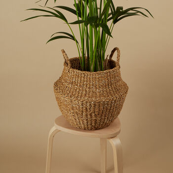 Seagrass Belly Basket, 3 of 3