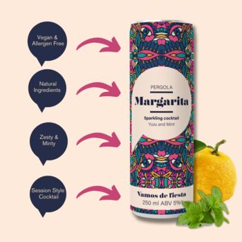 Margarita In A Can 250ml X 12, 4 of 4