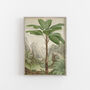 Vintage Seychelles Giclée Wall Art, thumbnail 3 of 5