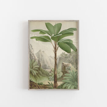 Vintage Seychelles Giclée Wall Art, 3 of 5