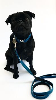 Constantine Blue Velvet Collar And Lead Set, 2 of 6