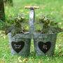 Set Of Two Personalised Winter Patio Planters, thumbnail 1 of 7