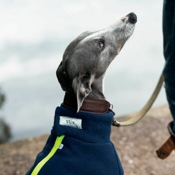 Whippet Polartec Water Resistant Dog Coat, 2 of 12