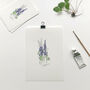‘Delphinium’ Flower Hand Illustrated Giclée Print, thumbnail 1 of 3
