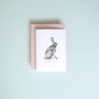Animal Greetings Card Set For Any Occasion | 12 Cards, thumbnail 3 of 8