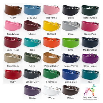 Colour Contrast Leather Whippet Collar, 4 of 11