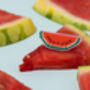 Make Your Own Watermelon Brooch Cross Stitch Kit, thumbnail 8 of 9