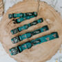 Happy Highland Cow Dog Collar, thumbnail 1 of 9