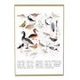 Aestes Wetland Birds Art Print, thumbnail 2 of 5