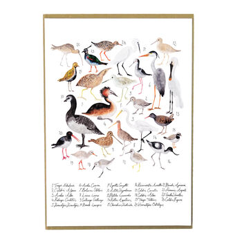 Aestes Wetland Birds Art Print, 2 of 5