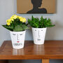 Personalised 'Mrs Face' Ceramic Plant Pot, thumbnail 1 of 4