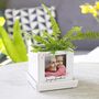 Mini Cube Photo Plant Pot For Grandma, thumbnail 5 of 8