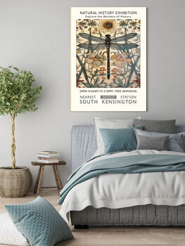 Natural History Exhibition Dragonfly Art Print, 2 of 3