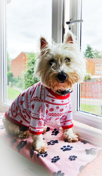 Dog Christmas Pyjamas, 2 of 9