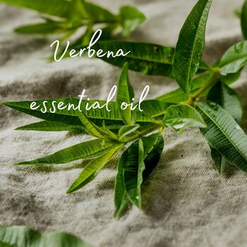 Lemon Verbena Vegan Room Spray With Essential Oils, 3 of 4