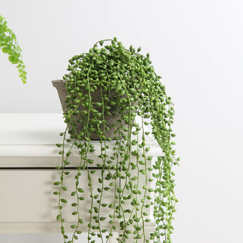 Faux String Of Pearls In Pot, 2 of 4
