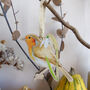 Robin And Snowdrop Wooden Hanging Decoration, thumbnail 1 of 11