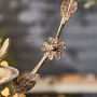 Personalised Hanging Garden Bird Dish, thumbnail 6 of 10
