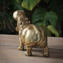 Gold Hippo Ornament, thumbnail 8 of 11