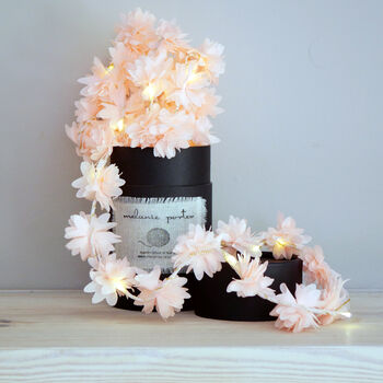 Cornflower Fairy Lights, 5 of 8