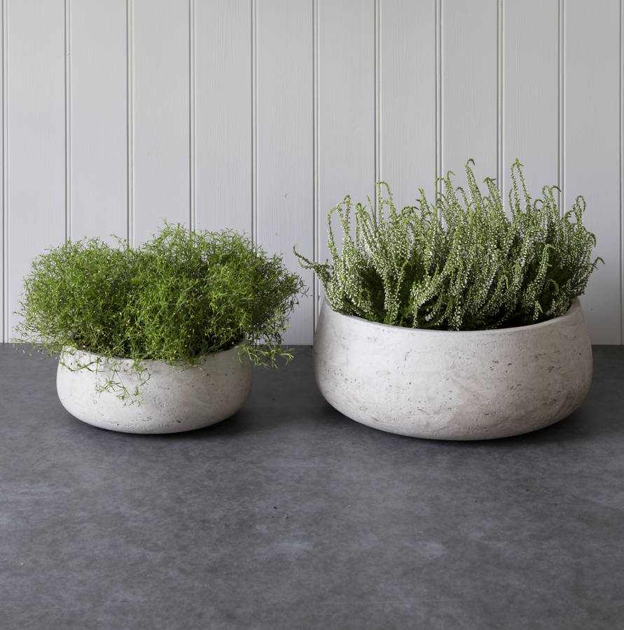 set of two cement planters by all things brighton beautiful