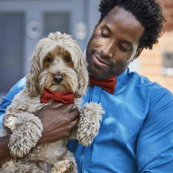 Dad And His Dog Yorkshire Tweed Bow Ties