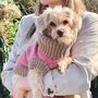 Pink Argyle Dog Jumper, thumbnail 1 of 5