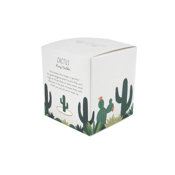The Potting Shed Cactus Ring Holder Trinket Dish In Gift Box | Home Decor | Jewellery Holder, 7 of 7