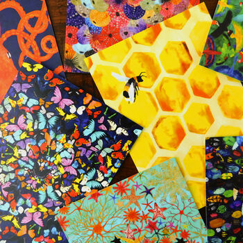 Mellifera Honeybee Print Postcard, 5 of 6