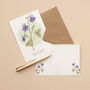 British Wild Flowers Illustrated Notelet Set, thumbnail 7 of 12