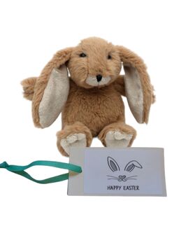 Happy Easter Brown Bunny And Gift Card And Gift Box, 7 of 8