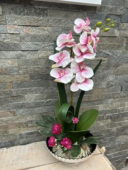 Large Pink Phalenopsis Orchid In Silver Fluted Bowl, 8 of 9