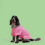 'It's My Birthday' Pink Dog T Shirt, thumbnail 3 of 5