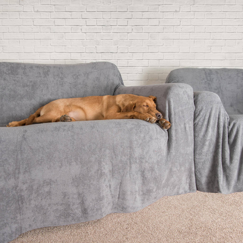 Cotton Towelling Sofa Throw By The Ruff And Tumble Dog Company Ltd Cotton Towelling Sofa Throw By The Ruff