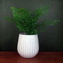 White Ceramic Planter Plant Pot, thumbnail 1 of 2