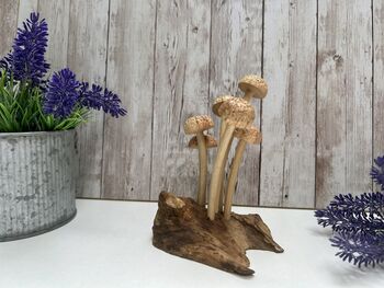 Assorted Wooden Mushroom Forest On Teak Root Wood, 7 of 12