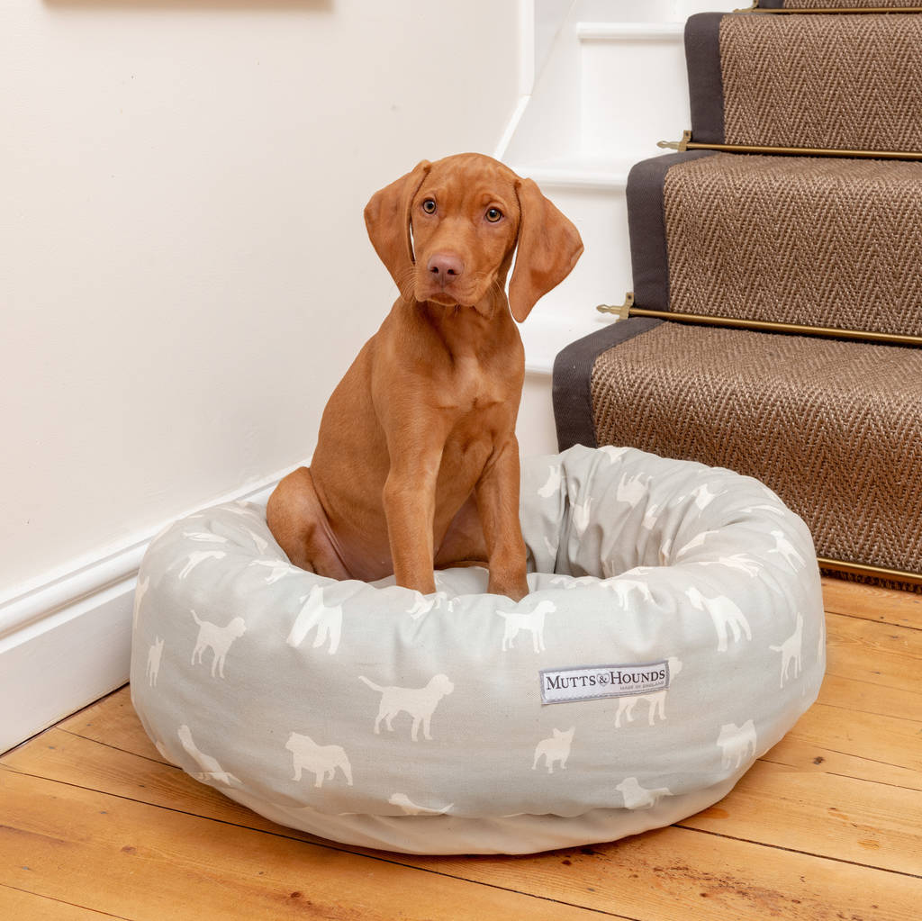 donut pillow dog