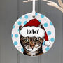 Christmas Personalised Ceramic Cat Decoration, thumbnail 1 of 6