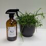 Leaf Love Plant Care Spray In Glass Bottle, thumbnail 2 of 4