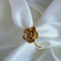 Adjustable Rose Ring Floral Raised Design, 18k Gold Stainless Steel, Waterproof Jewellery, thumbnail 1 of 8