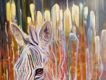 Zebra Queen, 9 of 11