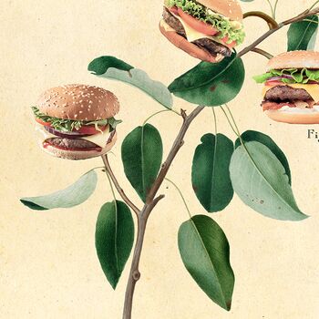Vintage Style Botanical Burger Print, 10 of 10