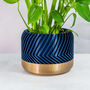 Midnight Tread Planter, thumbnail 1 of 4