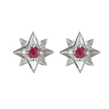 Guiding North Star Birthstone Stud Earrings Silver/Gold, 8 of 10